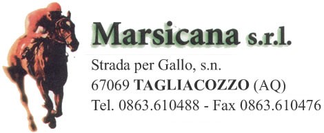 logo marsicana